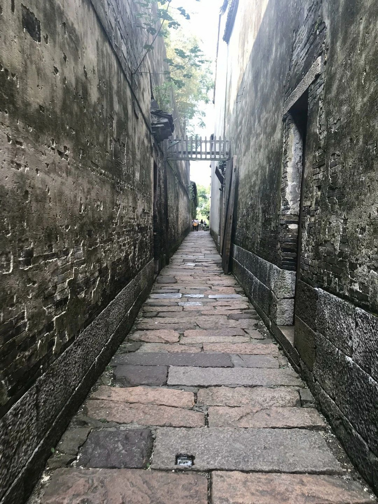 杭州夏日旅行