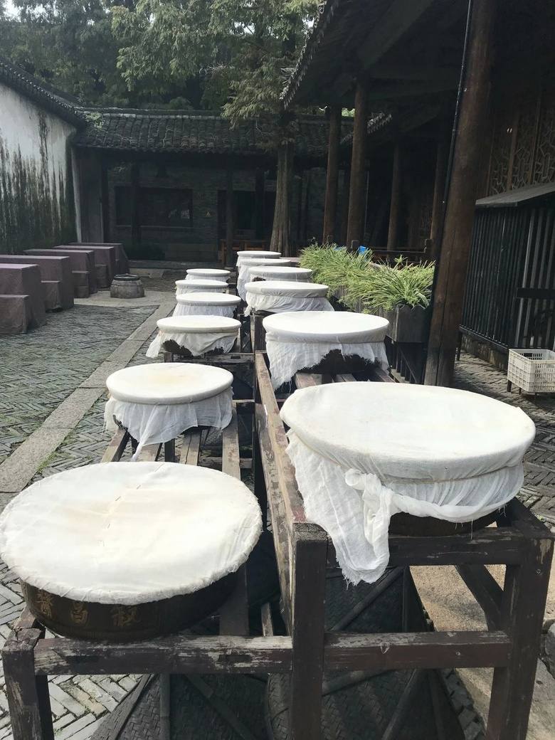 杭州夏日旅行