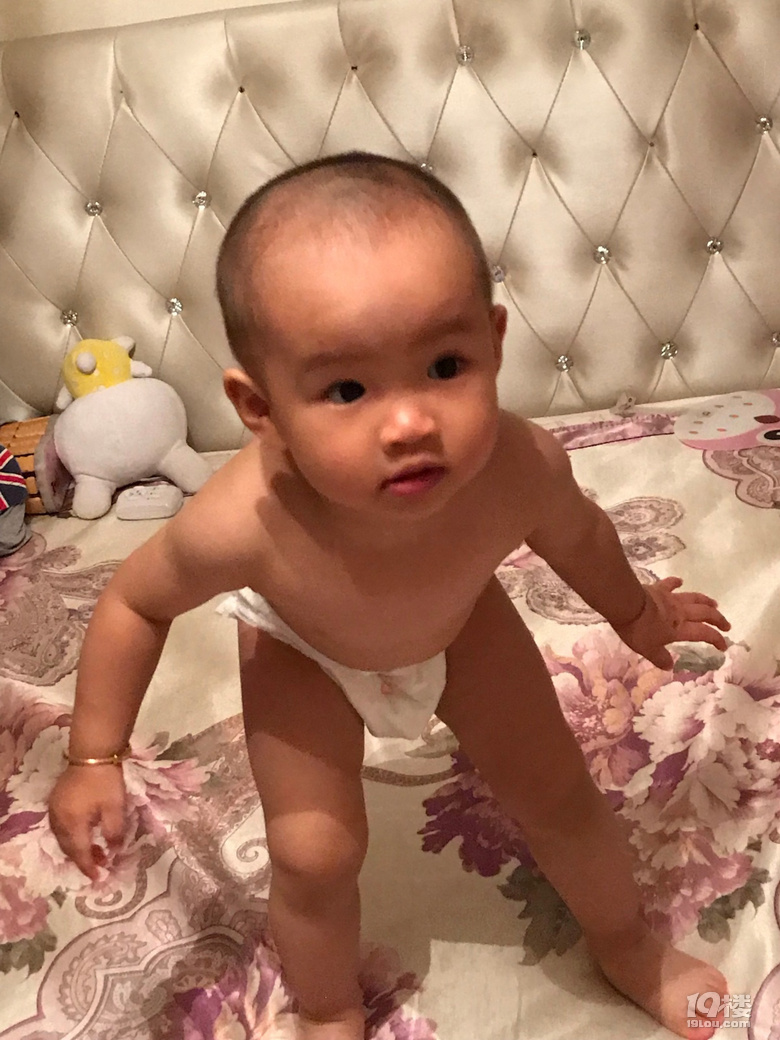 【扎头发】NN小光头成长▲记