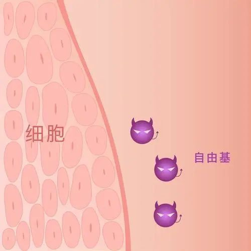 美白，我还有机会吗？