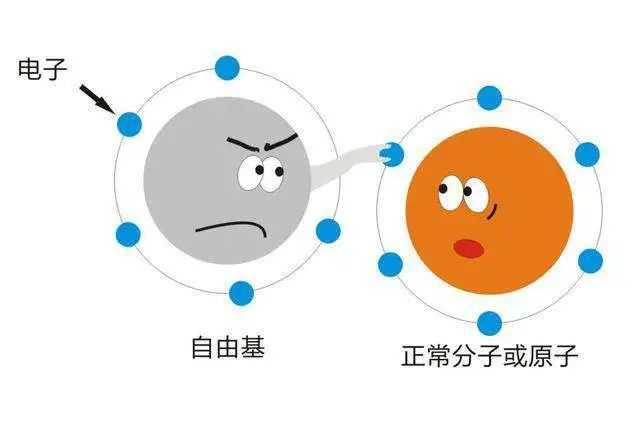 美白，我还有机会吗？