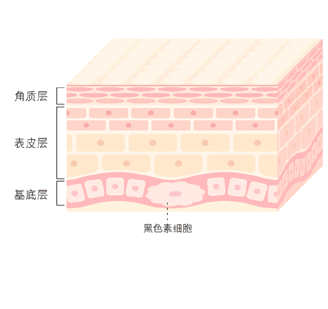 美白，我还有机会吗？