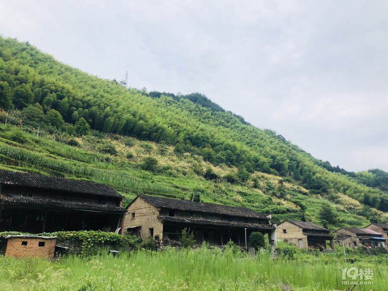 太刺激!磐安的盤山公路,走過絕對算的上是老司機(jī)啦��!