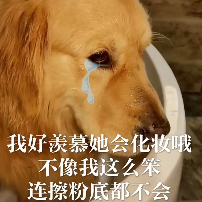 每只爱装可怜的狗，都是十足的“绿茶婊”……（内含精致表情包）