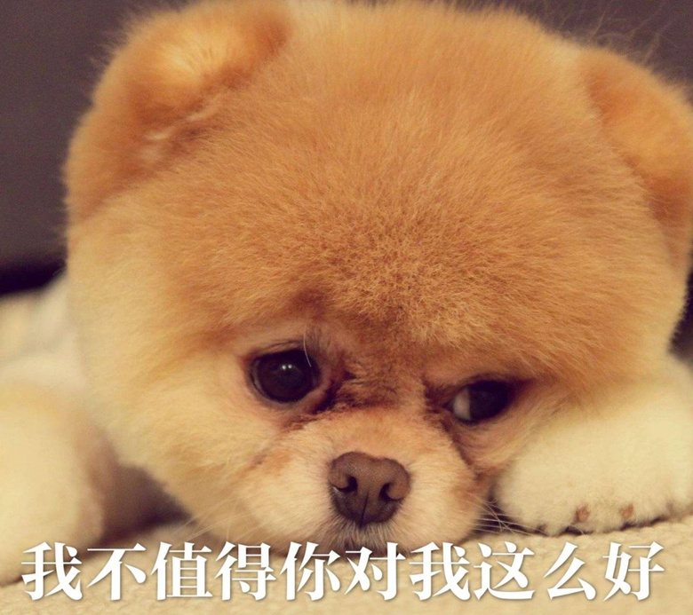 每只爱装可怜的狗，都是十足的“绿茶婊”……（内含精致表情包）