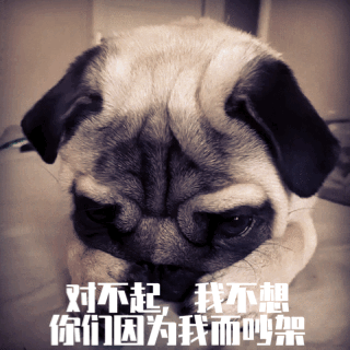 每只爱装可怜的狗，都是十足的“绿茶婊”……（内含精致表情包）
