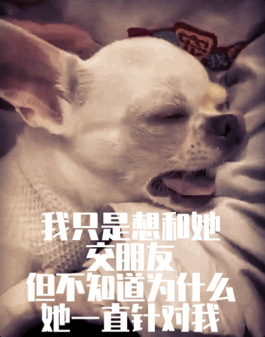 每只爱装可怜的狗，都是十足的“绿茶婊”……（内含精致表情包）