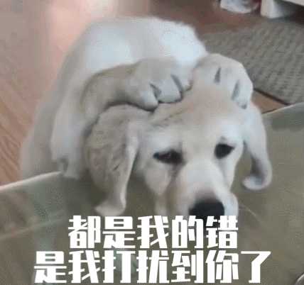每只爱装可怜的狗，都是十足的“绿茶婊”……（内含精致表情包）