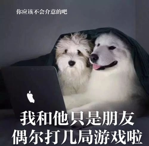 每只爱装可怜的狗，都是十足的“绿茶婊”……（内含精致表情包）