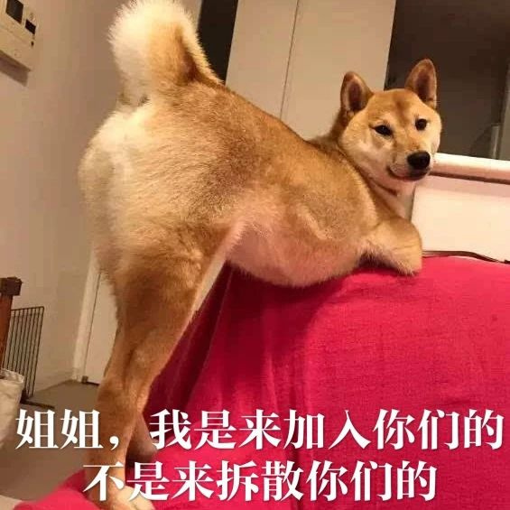 每只爱装可怜的狗，都是十足的“绿茶婊”……（内含精致表情包）