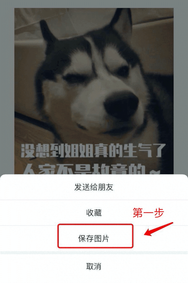 每只爱装可怜的狗，都是十足的“绿茶婊”……（内含精致表情包）