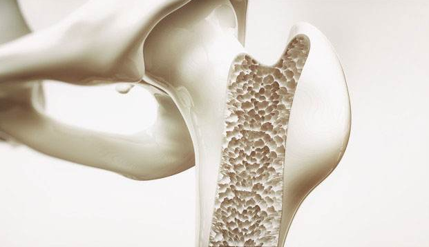 牙都脱钙了为啥不让我补钙