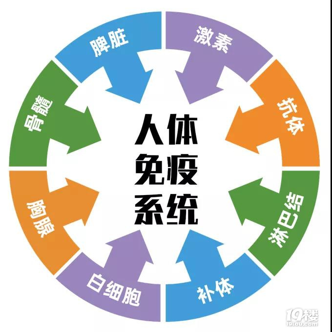 健康管理专家李力教授:平衡的免疫系统才是拥有健康的关键!