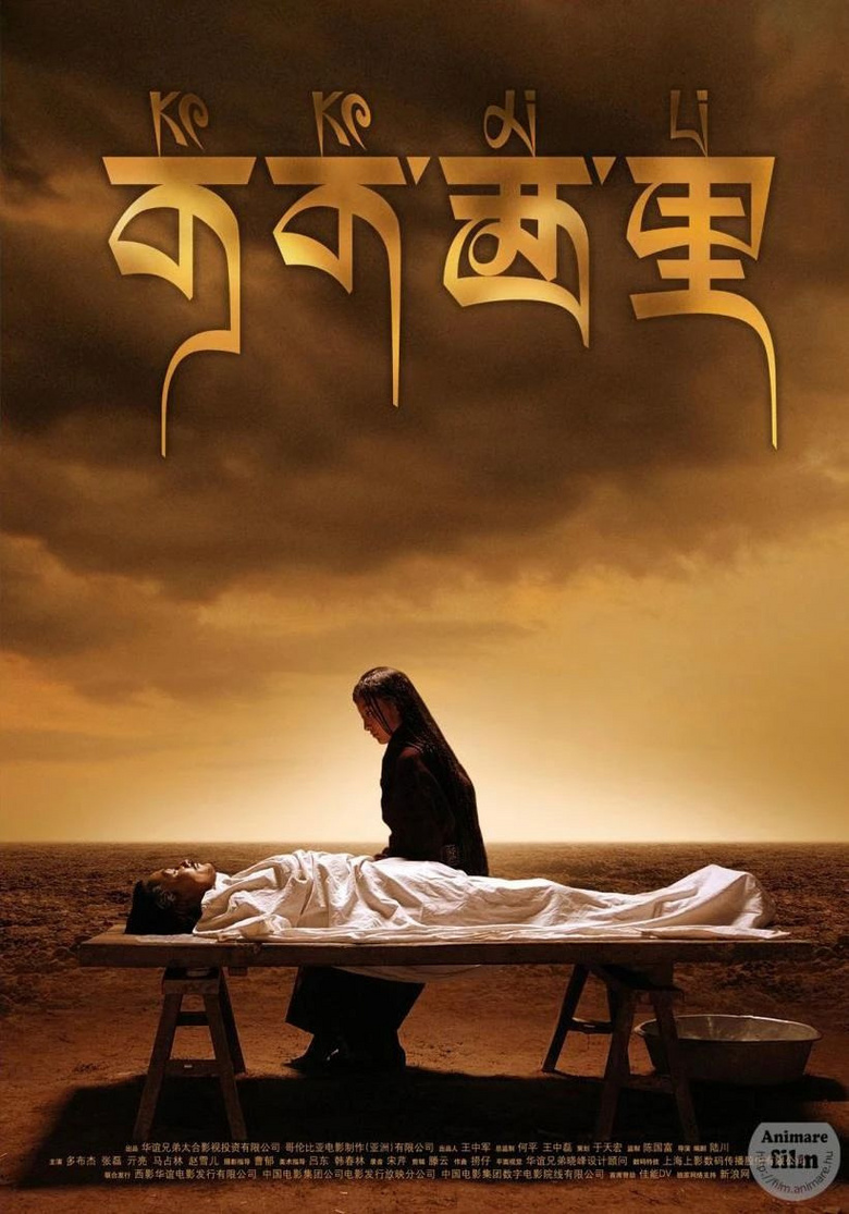 人氣NO.1的可可西里,美到心醉的三江源,不止有藏羚羊