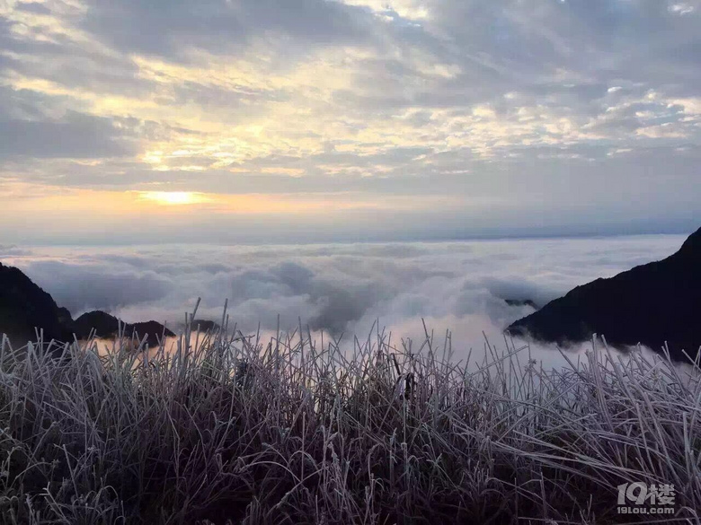云中草原,户外天堂--武功山●星空●云海●露营不能更美了