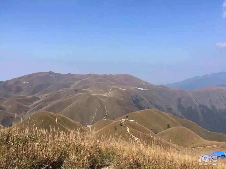 云中草原,户外天堂--武功山●星空●云海●露营不能更美了