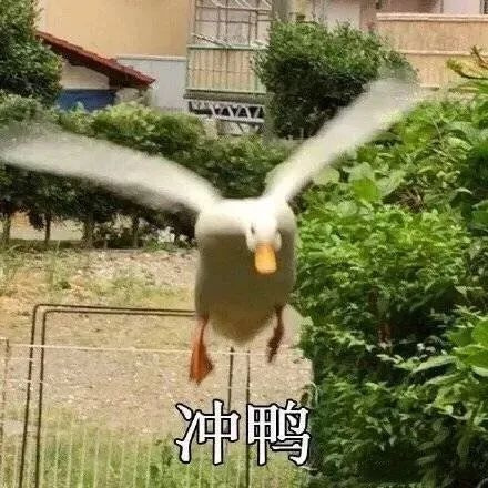 去黑头有很多办法,但这些肯定不算!