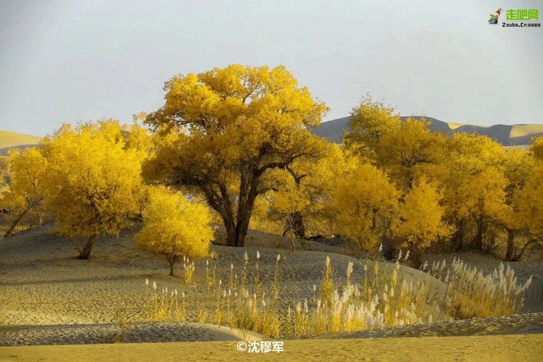 新疆旅游攻略!一網(wǎng)打盡南疆的人文與風景!