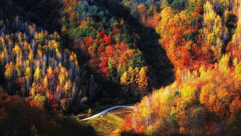 不出國(guó)賞最美楓葉大道,這個(gè)私藏賞秋地,國(guó)慶秋色正當(dāng)時(shí)!
