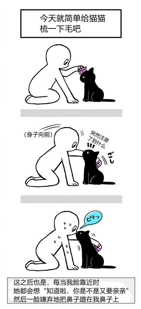 不懂就問:是不是所有的黑貓,都這么黏人?