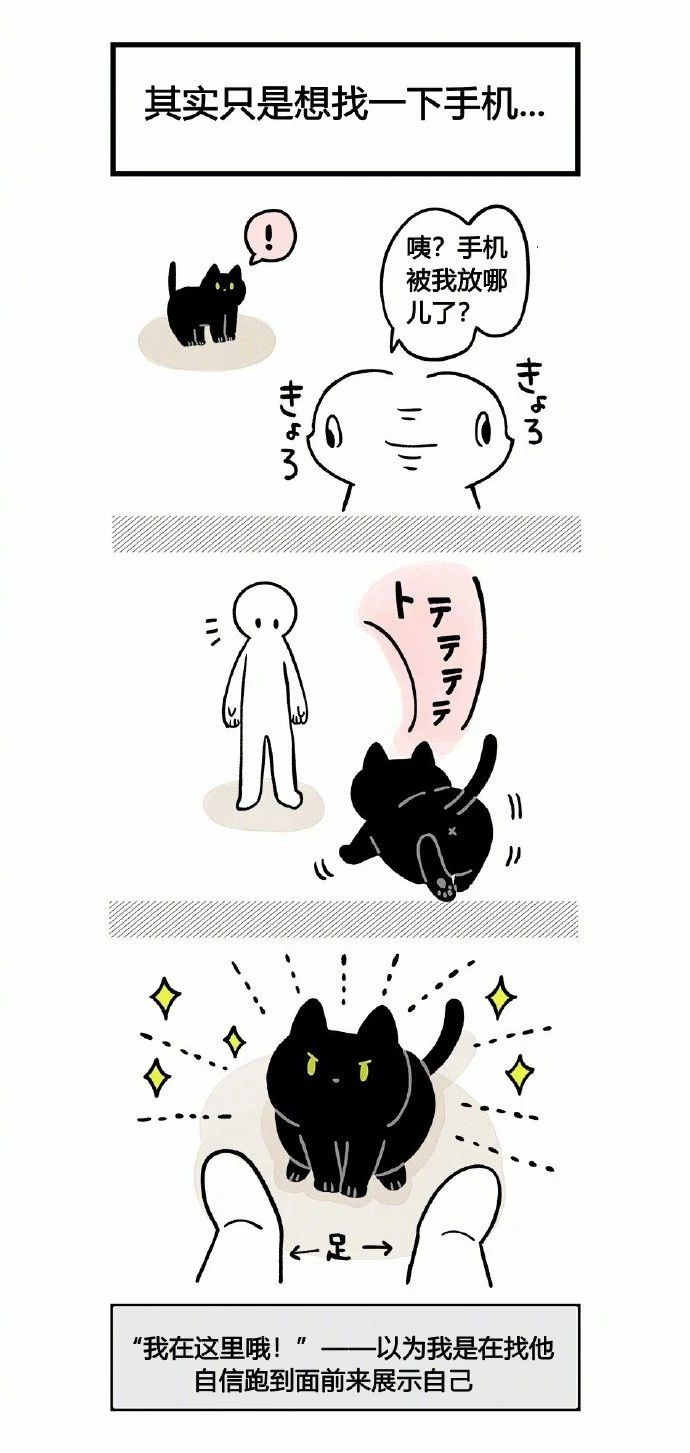 不懂就問:是不是所有的黑貓,都這么黏人?