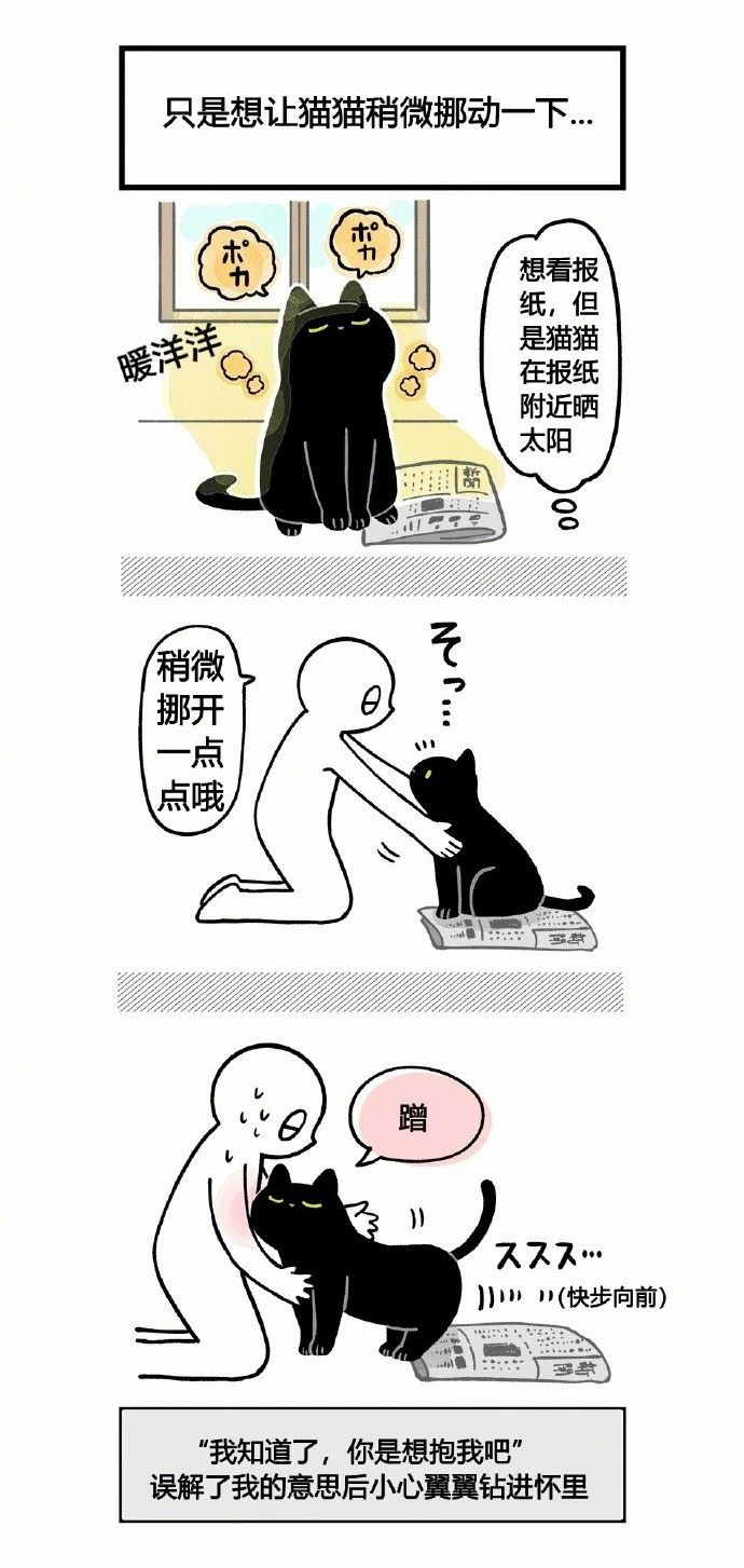 不懂就問:是不是所有的黑貓,都這么黏人?