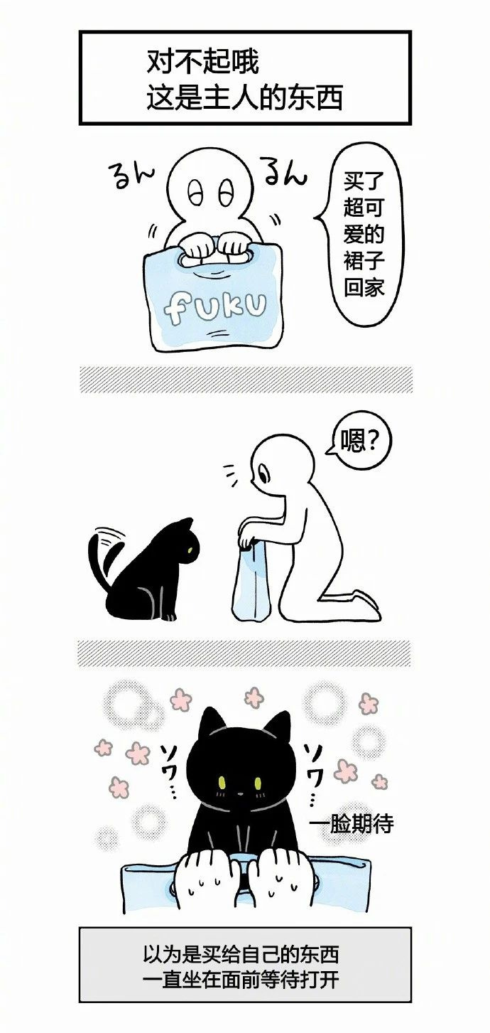 不懂就問:是不是所有的黑貓,都這么黏人?