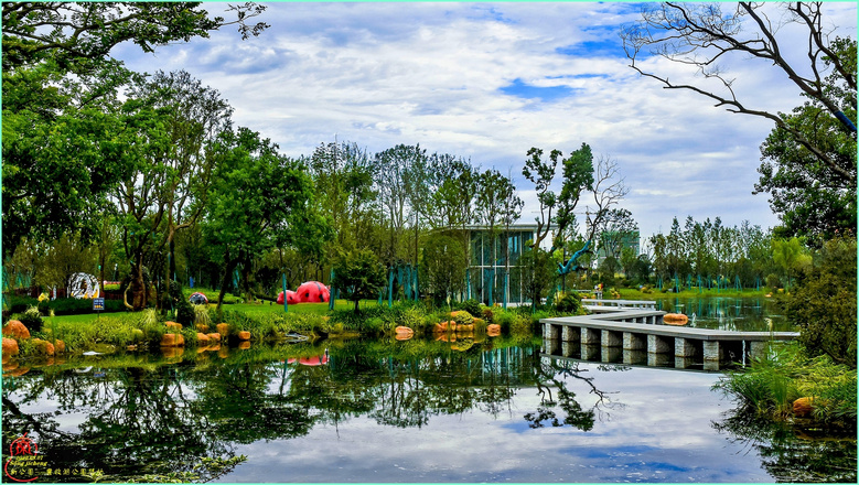 乔司丰收湖随拍