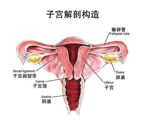 求求了放过女性的身体吧，这些护理真的没用！