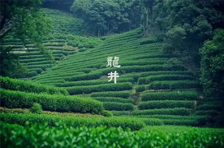 杭州超经典徒步路线，这个秋天就等你的脚步探寻！