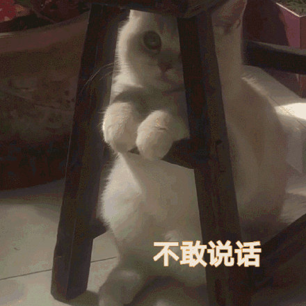 心真大！车开在路上，男童从车窗中探出身，一路对花坛小便…
