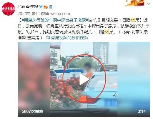 心真大！车开在路上，男童从车窗中探出身，一路对花坛小便…