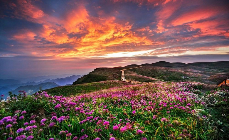 秋天,这里有中国最美一片云上花海