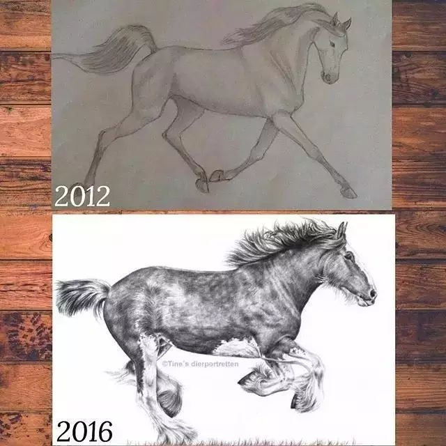 一匹马画了16年,23岁美女学渣逆风翻盘
