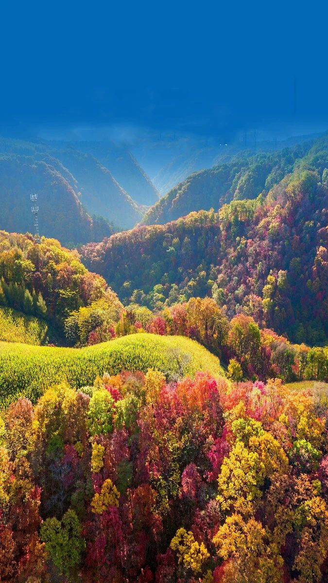 9月,东北秋天突然刷爆朋友圈,原来东北的秋天也可以这么美
