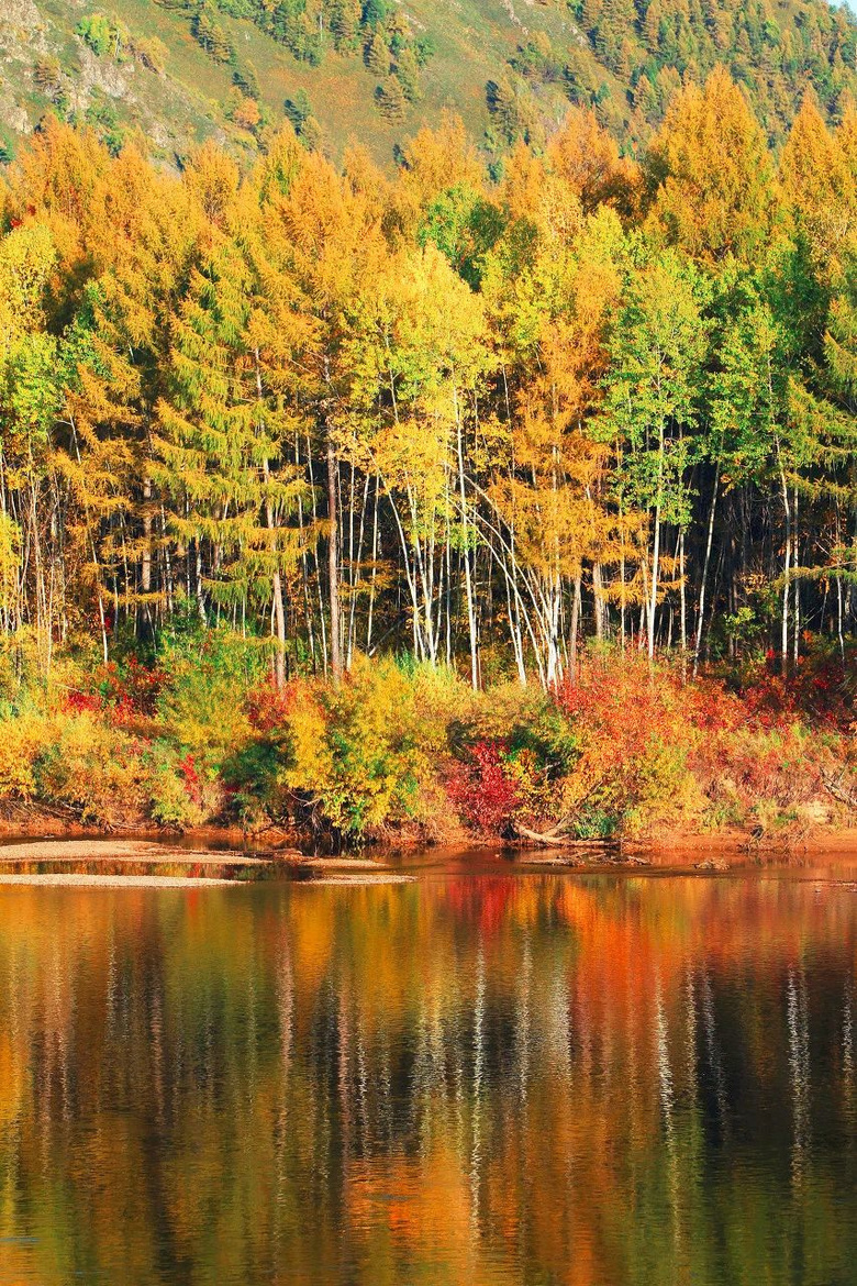 9月,东北秋天突然刷爆朋友圈,原来东北的秋天也可以这么美