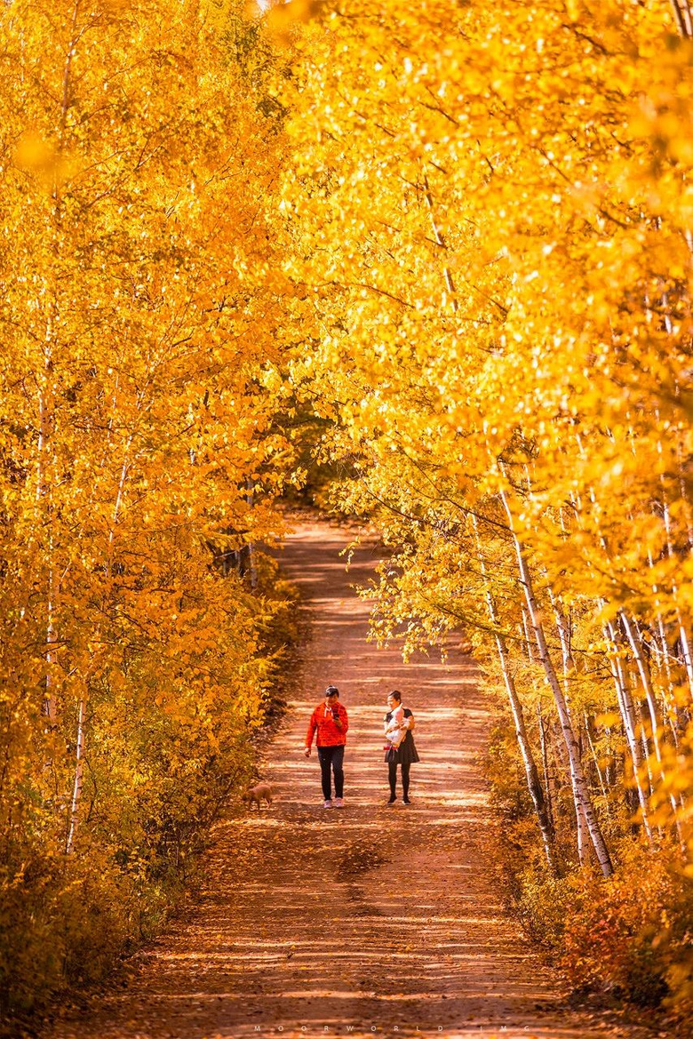 9月,东北秋天突然刷爆朋友圈,原来东北的秋天也可以这么美