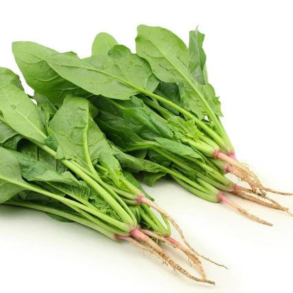 吃得多,卻餓得快?最新食物升血糖排行榜,助你血糖穩(wěn)一點