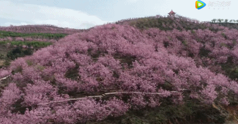這個(gè)寶藏地連上熱搜!《花木蘭》也來取景