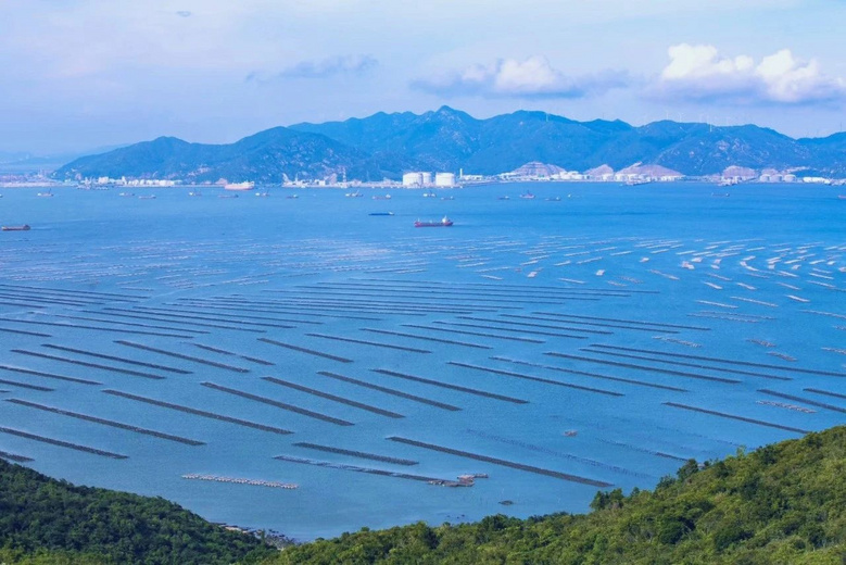 水质媲美东南亚,价格只要1/10,国内这些宝藏海岸线了解一下