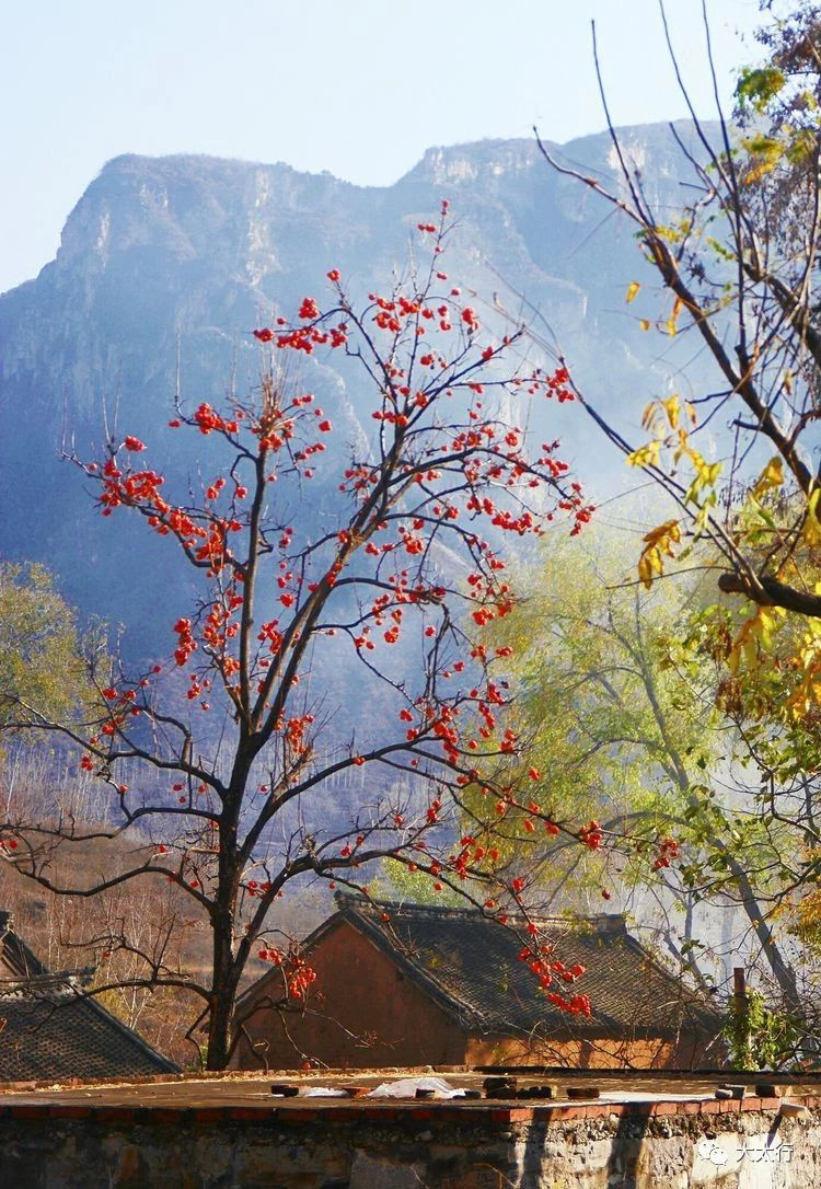 中國(guó)最險(xiǎn)天路,左手懸崖右手峭壁,讓無數(shù)老司機(jī)欲罷不能