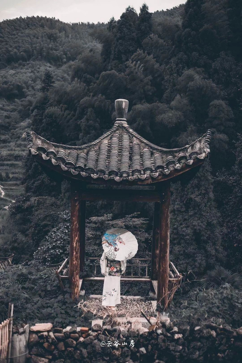 傍山而居,浙南秘境深處藏了一家避世民宿,隨手一拍就能驚艷朋友