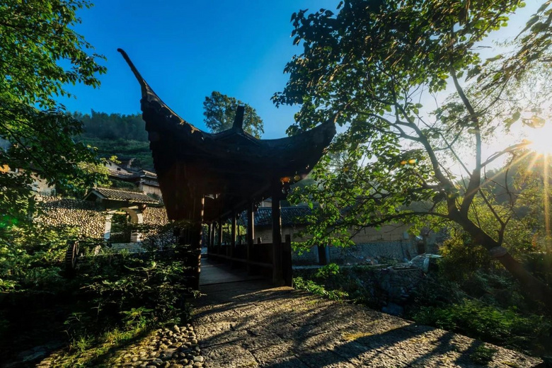 傍山而居,浙南秘境深處藏了一家避世民宿,隨手一拍就能驚艷朋友