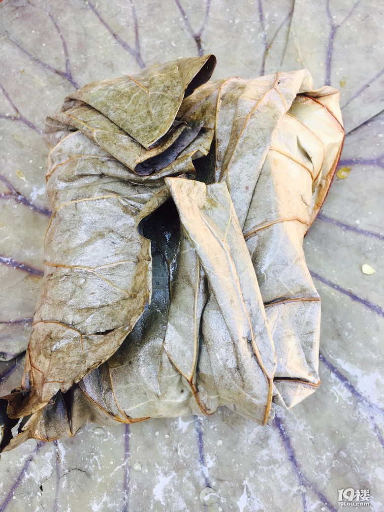 大山里的农家小院