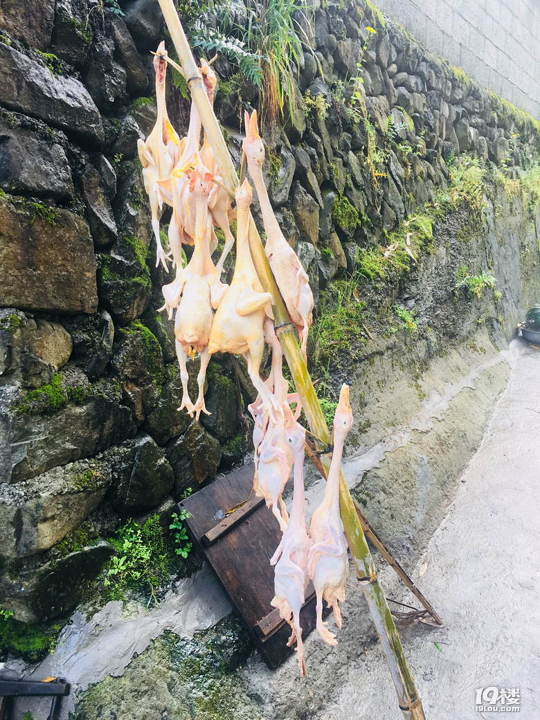 大山里的农家小院