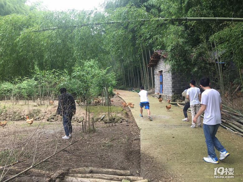 大山里的农家小院