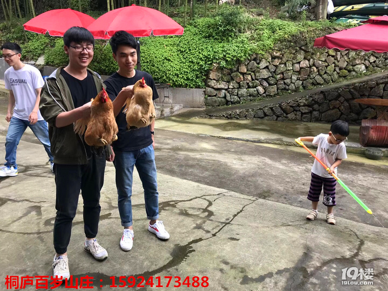 大山里的农家小院