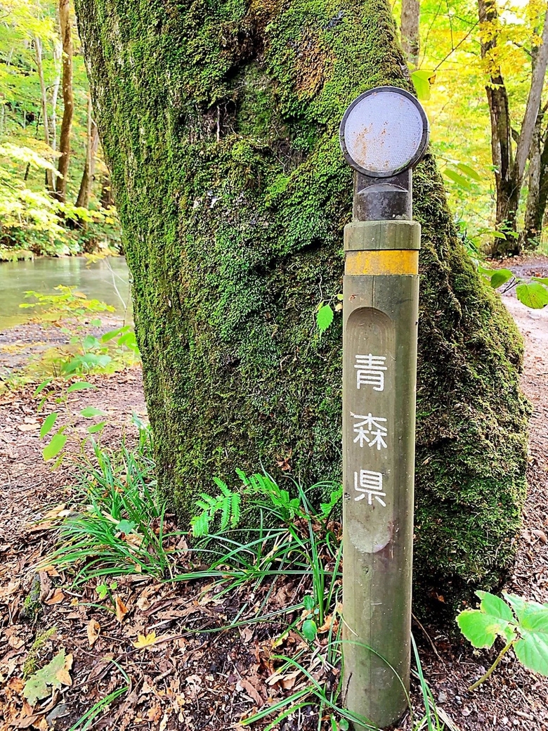在青森开启自然之旅，看湖光山色，漫步茂密森林