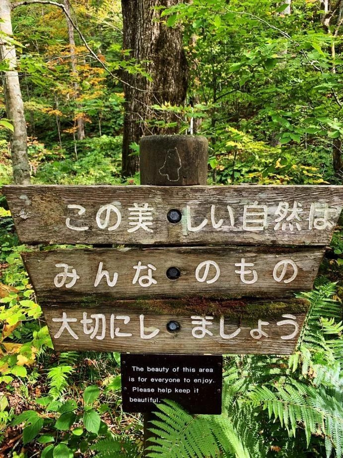 在青森开启自然之旅，看湖光山色，漫步茂密森林