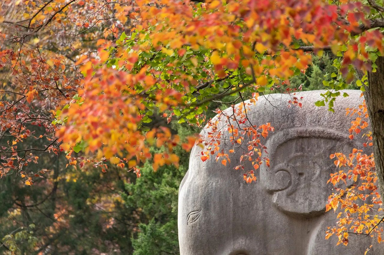 搶先一步知道中國(guó)哪里的秋天最美!九個(gè)目的地給你答案